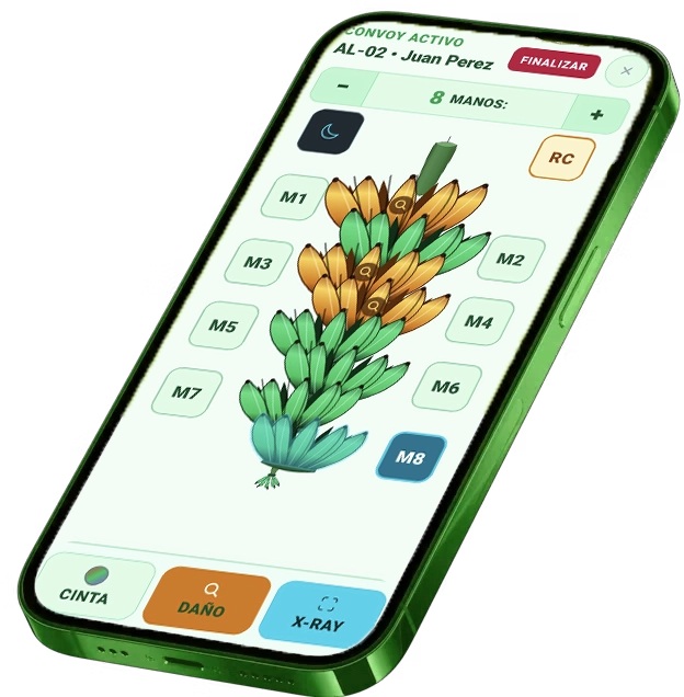 Back phone mockup