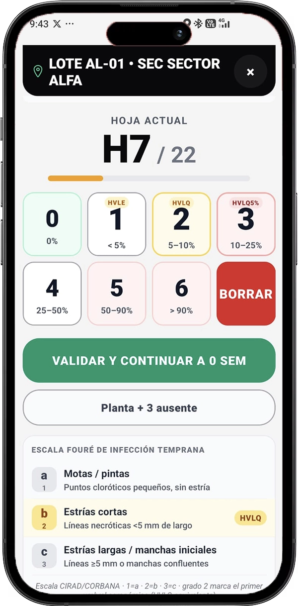 Sigatoka 360 interface