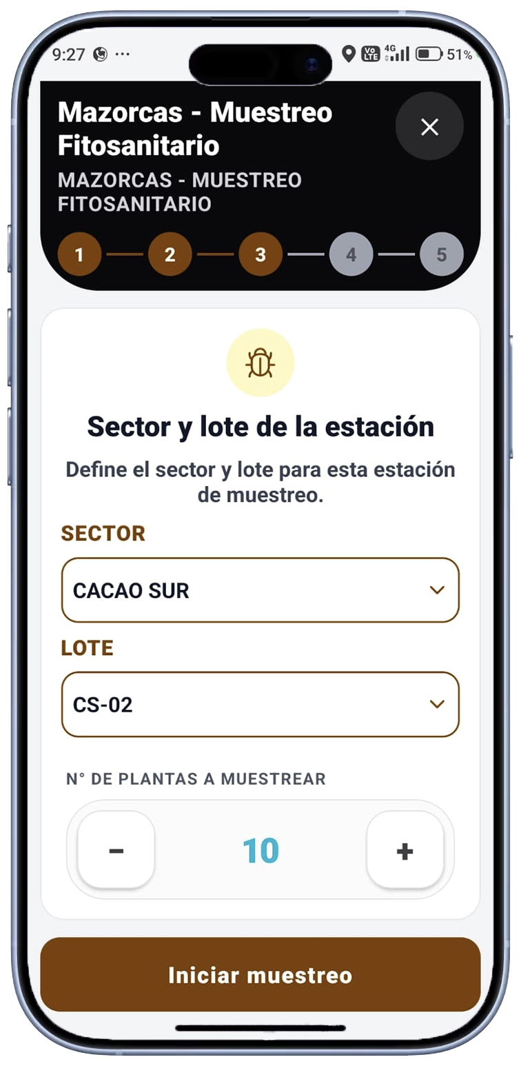 Cacao